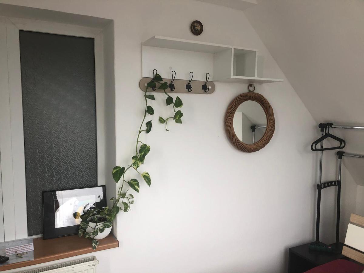 Homestay U Hanky Zdiby Экстерьер фото